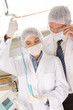 Researchers at work