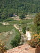 terrace with the view on vineyards in Tuscany