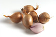 shallots (Schalotten)