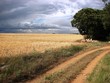 caminos