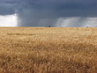 tormentas