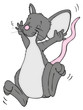 Maus, Ratte, Freude, freuen, lachen, springen