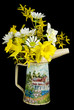 Spring Collection