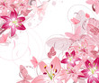 floral pattern of lilies floral pattern of lilies