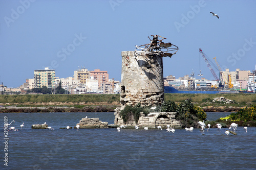 Photo: Mulino e Fenicotteri Mulino e Fenicotteri