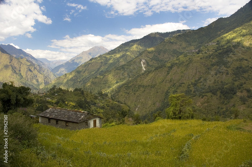 Foto: Spring, Annapurna Conservation Area. Nepal Spring, Annapurna Conservation Area. Nepal