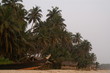 Palmenstrand in Ghana