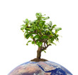 Photo: Klimaschutz Klimaschutz