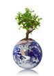 Photo: Klimaschutz Klimaschutz