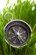 compass in green grass compass in green grass