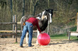 Foto: Winnetou mit Trainer und Ball Winnetou mit Trainer und Ball