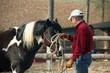 Foto: Winnetou im Training Winnetou im Training