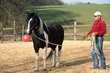 Foto: Winnetou mit Trainer und Ball Winnetou mit Trainer und Ball