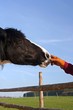 Winnetou riech mal