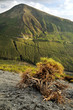 Island Vulcano