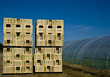 cagettes de maraichers