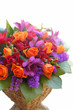 tropical colored flower