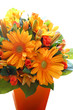 orange flowers