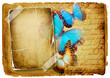vintage background with blank frame and butterflies vintage background with blank frame and butterflies
