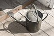 Metal watering can