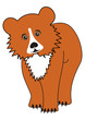 Cartoon young bear (grizzly) Cartoon young bear (grizzly)