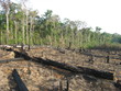 Foto: Abholzung - Brandrodung Regenwald, Amazonien Brasilien Abholzung - Brandrodung Regenwald, Amazonien Brasilien