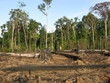 Foto: Abholzung - Brandrodung Regenwald, Amazonien Brasilien Abholzung - Brandrodung Regenwald, Amazonien Brasilien