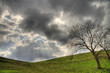 Landschaft