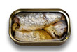 Sardine can