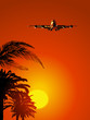 Airliner at sunset