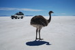 Salar de Uyuni