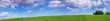 Panoramic landscape of summer meadow