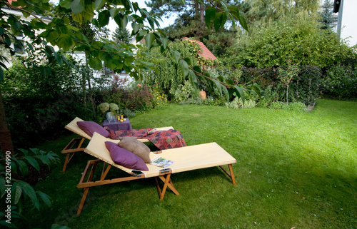 Photo: garden summer garden summer