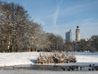 uniriese mit neuem rathaus im winter in leipzig