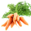 botte carottes, fond blanc botte carottes, fond blanc