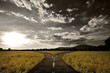 Crossroad Crossroad