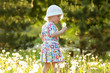 The little girl with dandelions The little girl with dandelions