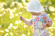 The little girl with dandelions The little girl with dandelions