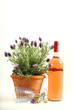 Wein