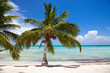 Foto: Tropical Beach Tropical Beach