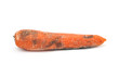 Old carrot