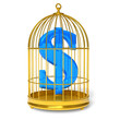 Dollar in cage