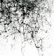 Ink drops