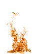 Fire flame isolated on white backgound Fire flame isolated on white backgound