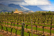 Rioja Winery