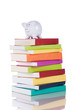Education cost Education cost