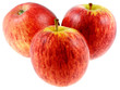 trois pommes gala, fond blanc trois pommes gala, fond blanc