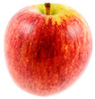 pomme gala rouge, fond blanc pomme gala rouge, fond blanc