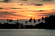 Sunset beach with palm trees