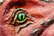 Dinosaur eye Dinosaur eye